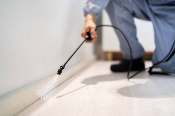 Certified termite inspector examining foundation in Highland